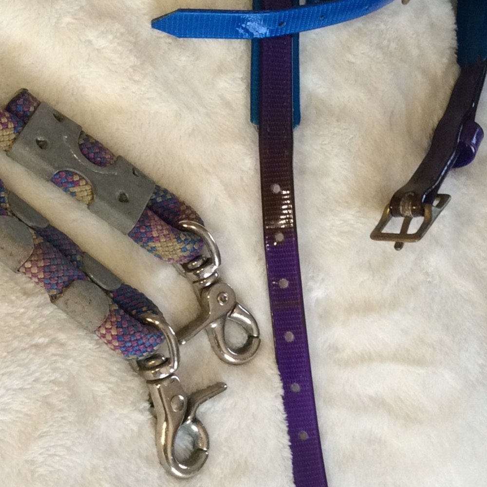 Biothane Bridle and Rope Reins Convertible - Picture 2 of 5